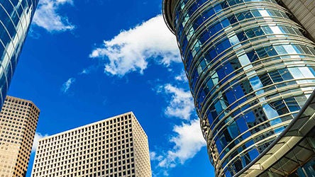 Partenaires Intellect