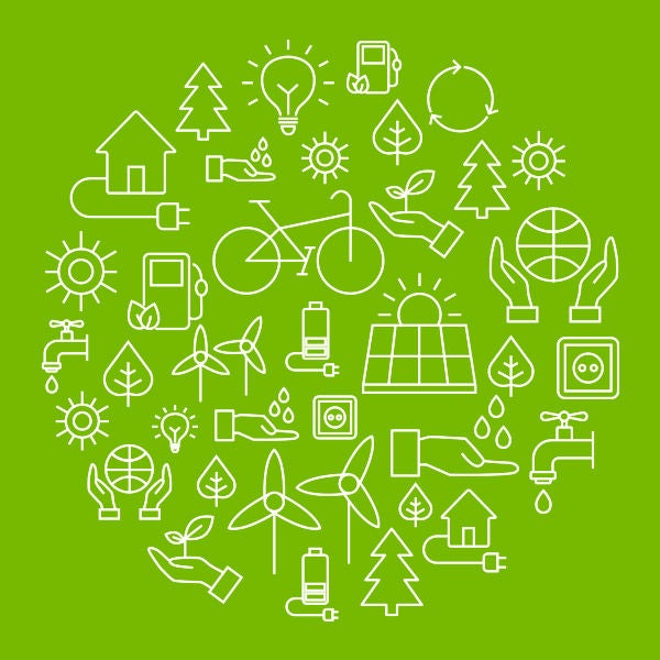 Marguerites et brownies