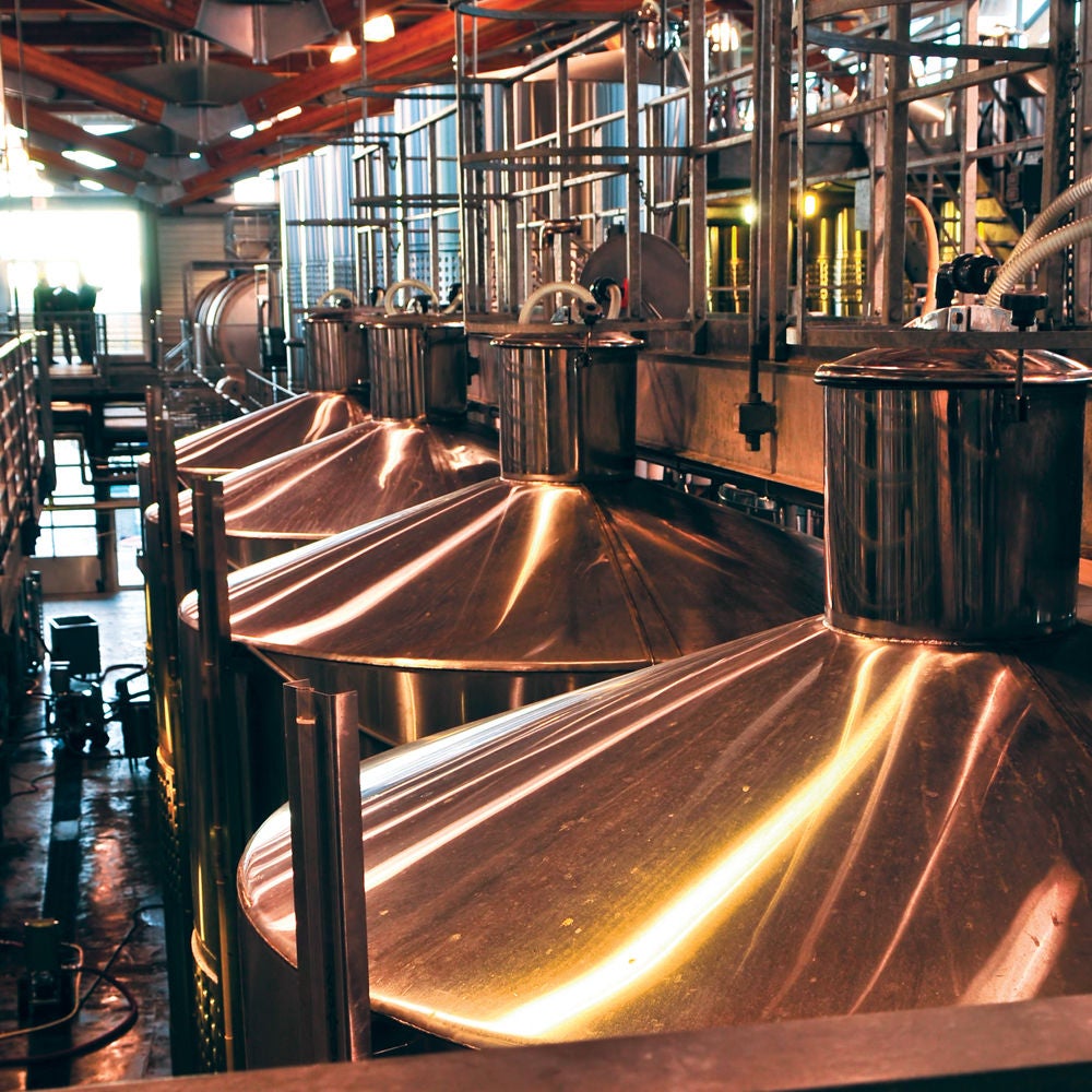 Aliments et boissons - Brasserie